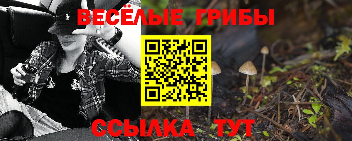 Гусев  Псилоцибиновые грибы GOLDEN TEACHER  Вход с VPN 