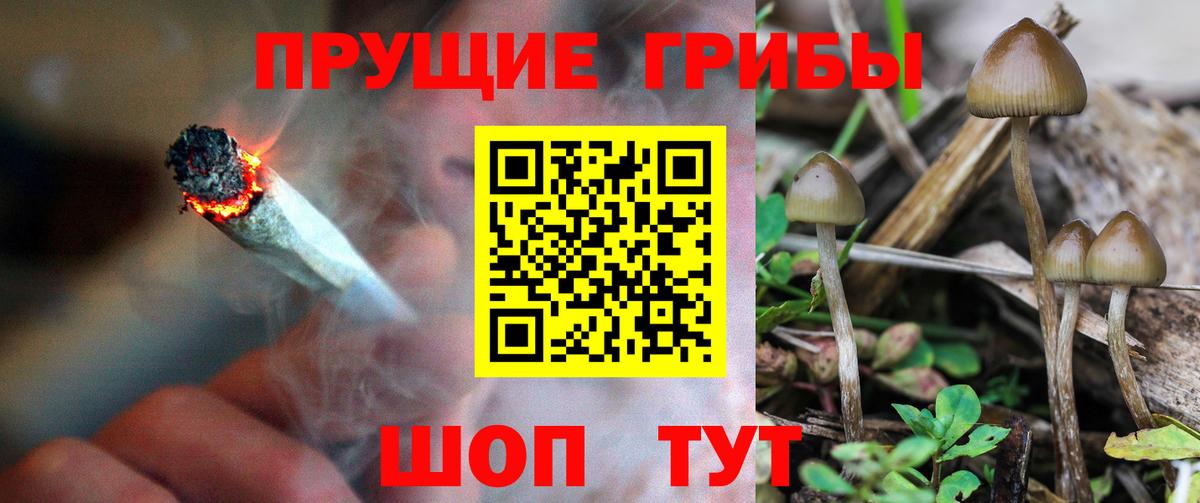 Галлюциногенные грибы ЛСД Гусев