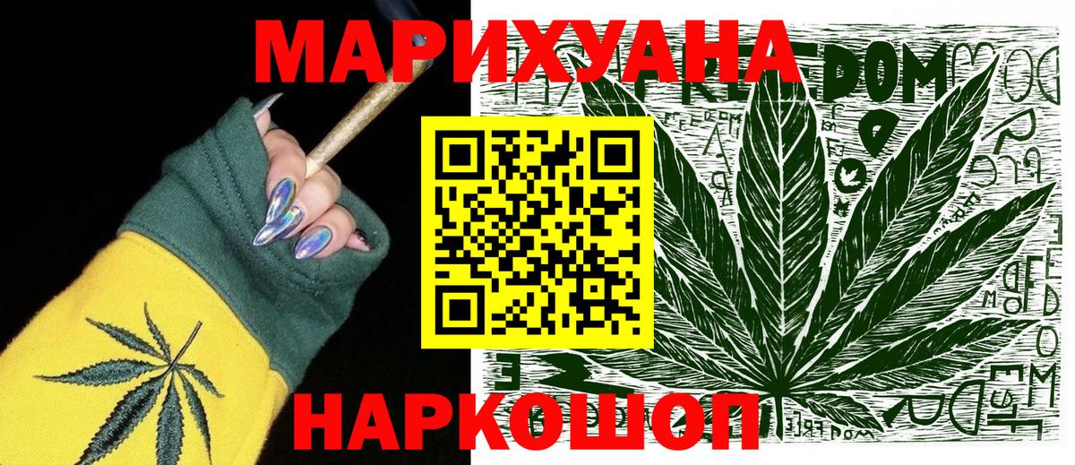 Марихуана сатива Гусев